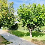 Independente Con Piscina Privada - Perfecto Familia Y Grupos Alacon