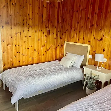 Villa Independente Con Piscina Privada - Perfecto Familia Y Grupos Βίλα Alacon