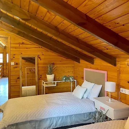 Villa Independente Con Piscina Privada - Perfecto Familia Y Grupos * Alacon