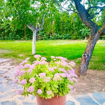 Vllla Privada - Casa De Madera