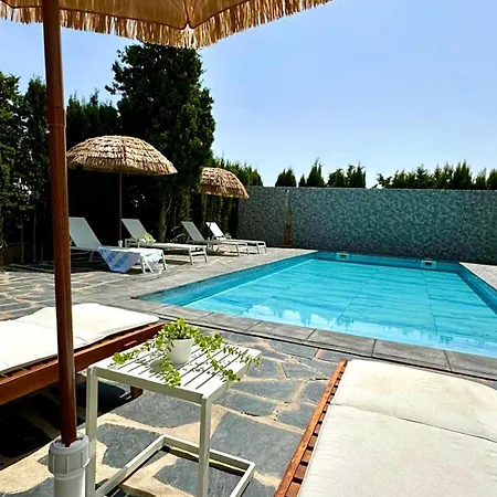 Villa Independente Con Piscina Privada - Perfecto Familia Y Grupos Alacon